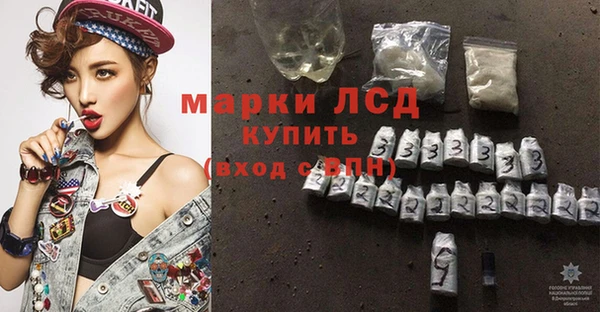 гидра Кукмор