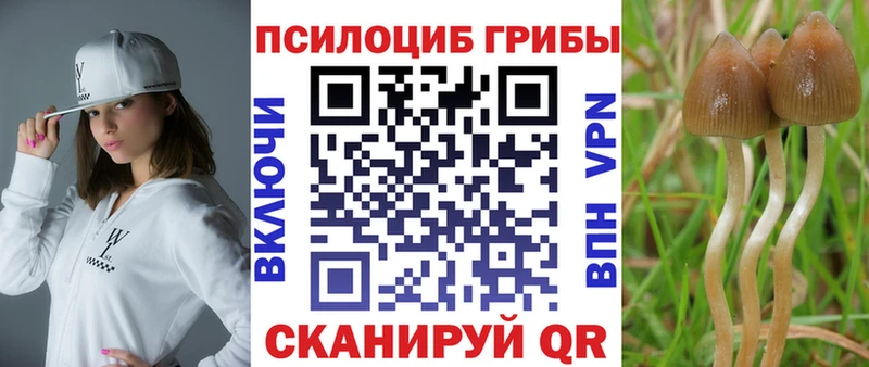 Галлюциногенные грибы Cubensis  Купить  Анжеро-Судженск 